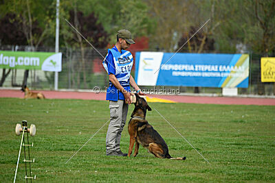 Genius Team Veranis K-9 Center