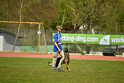 Genius Team Veranis K-9 Center