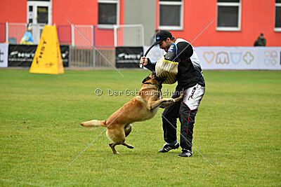 Gento la Mistero de Montani