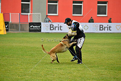 Gento la Mistero de Montani