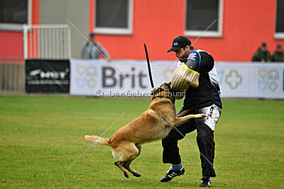 Gento la Mistero de Montani
