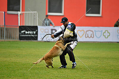 Gento la Mistero de Montani