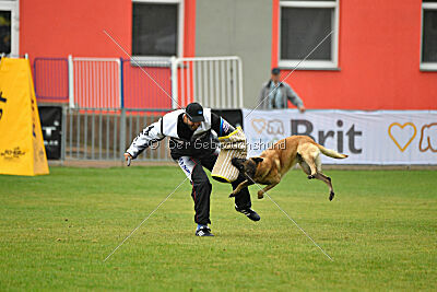 Gento la Mistero de Montani