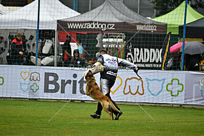 Gento la Mistero de Montani