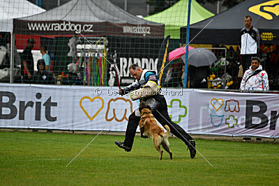 Gento la Mistero de Montani