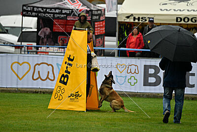 Gento la Mistero de Montani