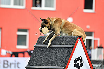 Gento la Mistero de Montani