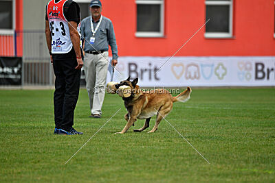 Gento la Mistero de Montani