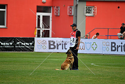 Gento la Mistero de Montani