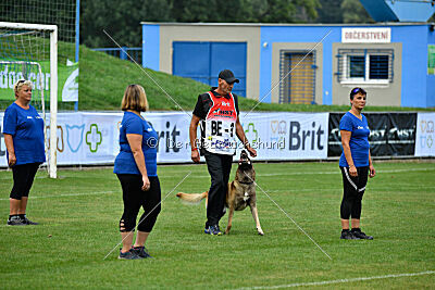 Gento la Mistero de Montani
