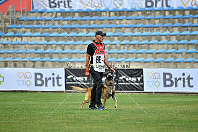 Gento la Mistero de Montani