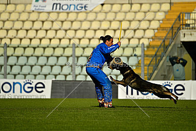 Gero z Berounske Basty