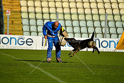 Gero z Berounske Basty