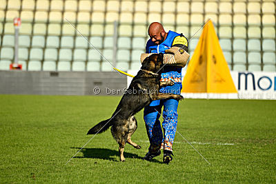 Gero z Berounske Basty