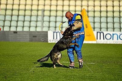 Gero z Berounske Basty