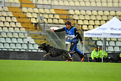 Gero z Berounske Basty