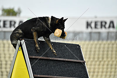 Gero z Berounske Basty