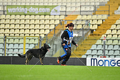 Gero z Berounske Basty