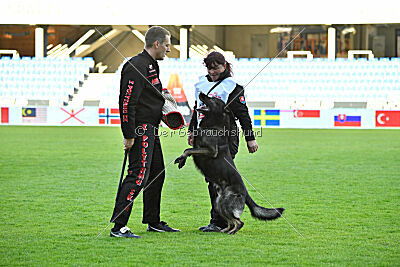 Gero z Berounske basty