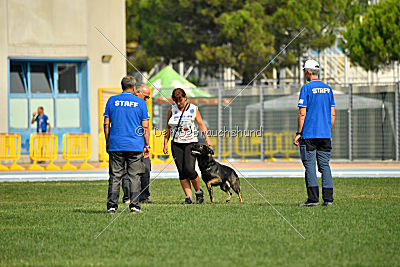 Gero z Berounske basty