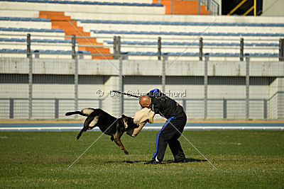 Gero z Berounske basty