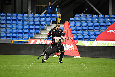 Gero z Berounske basty