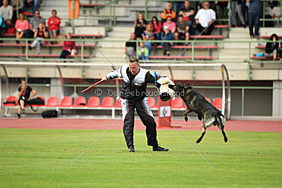 Gero z Berounske basty