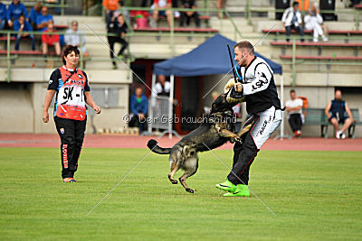 Gero z Berounske basty