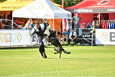 Gero z Berounské basty