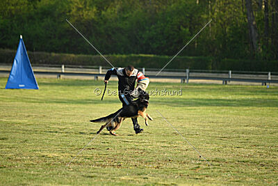 Gerry vom alten Lindenstumpf