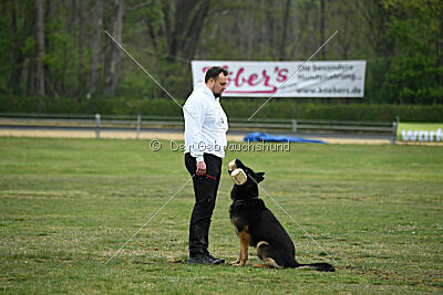 Gerry vom alten Lindenstumpf