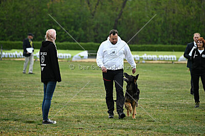 Gerry vom alten Lindenstumpf