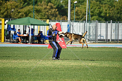 Gesper vom Wolfisherde