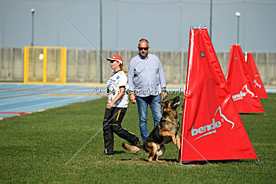 Gesper vom Wolfisherde