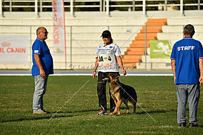 Gesper vom Wolfisherde