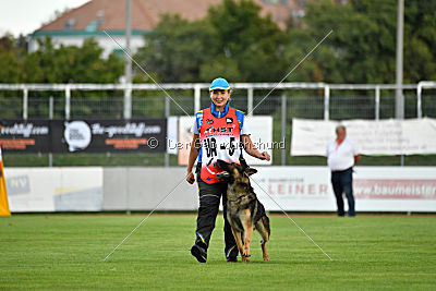 Gesper vom Wolfisherde