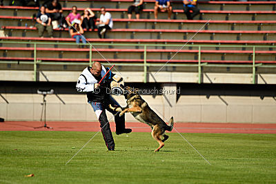 Gesper vom Wolfisherde