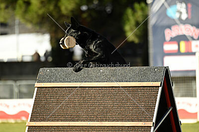 Gibson Mystic Megane