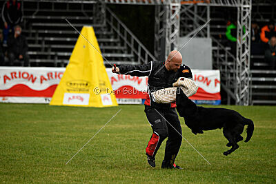 Gibson Mystic Megane