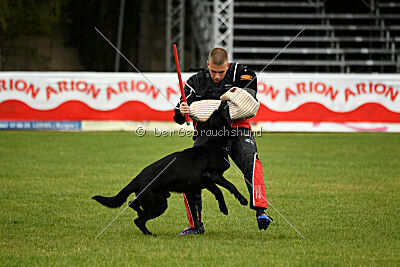 Gibson Mystic Megane