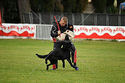 Gibson Mystic Megane