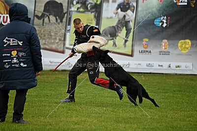 Gibson Mystic Megane