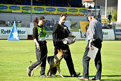 Gin-Tonic vom Wieratal