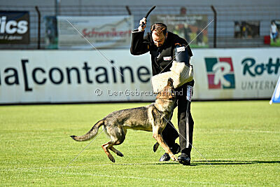 Gin-Tonic vom Wieratal