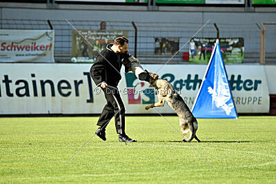 Gin-Tonic vom Wieratal