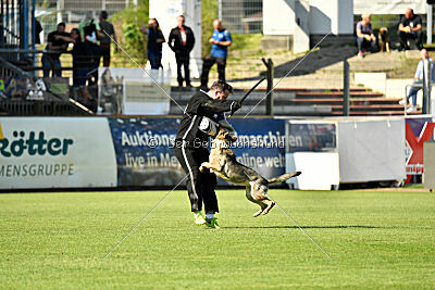 Gin-Tonic vom Wieratal