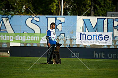 Ginger of Brave House JP