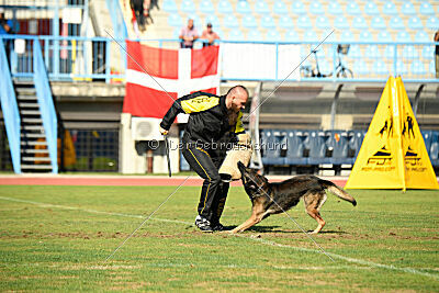 Ginger of Brave House JP