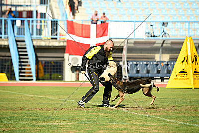 Ginger of Brave House JP