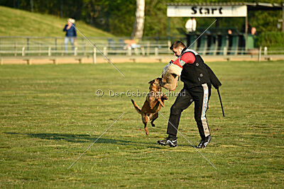 Gisela vom Hause Ritter